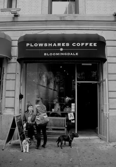 Plowshares Coffee Bloomingdale
