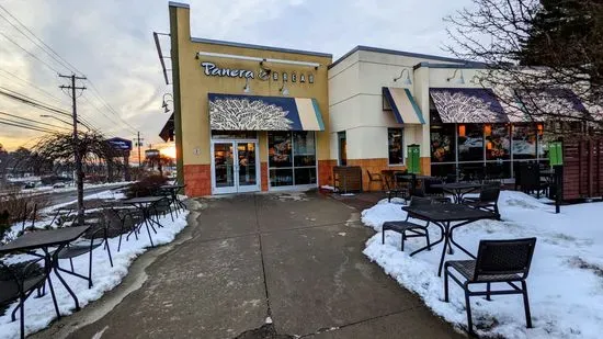 Panera Bread