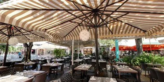 Il Bolognese | Italian restaurant in Miami Beach