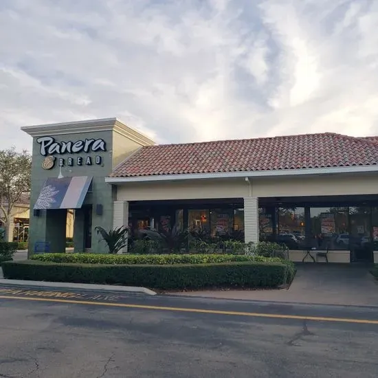 Panera Bread