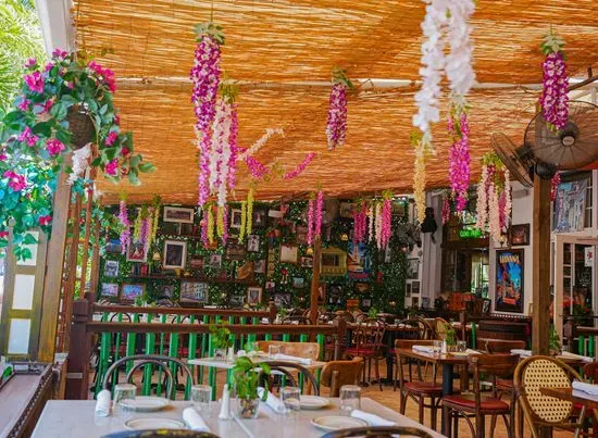 Havana Vieja 🇨🇺🍸Latin Restaurant Miami Beach