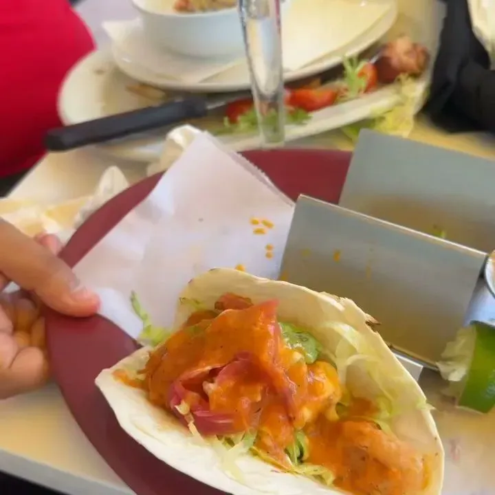 The Birdcage Cafe Miami Beach, FL Checkle