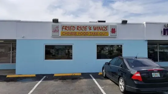 Fried Rice And Wings