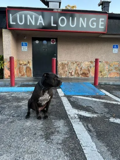 Luna Lounge Seffner