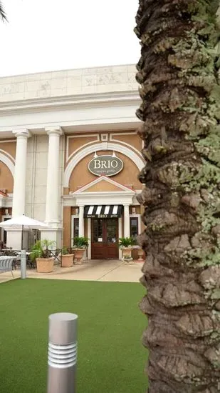 Brio Italian Grille