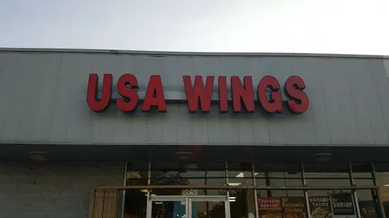 USA Wings