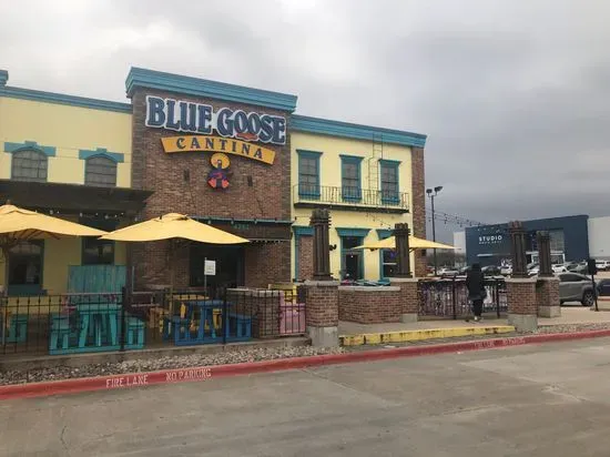 Blue Goose Cantina Mexican Restaurant