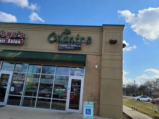 Cilantro Taco Grill - Elgin