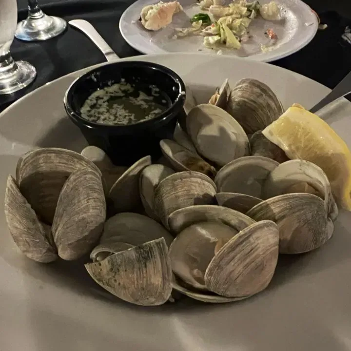 Arthur's Dolgeville, NY Checkle