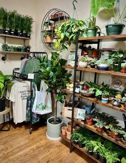 Plant People: A Botanical Boutique