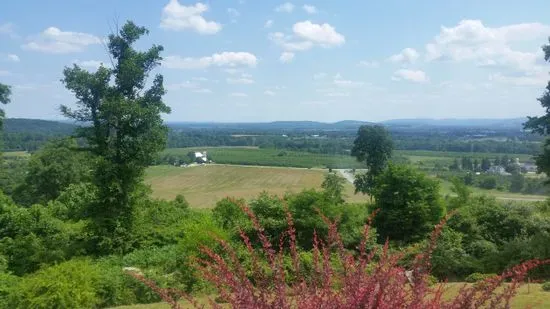 The Core Happenings at Atomic Dog Cidery