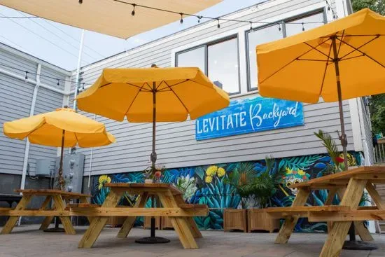 Levitate Backyard & Rexicana Surf Cantina