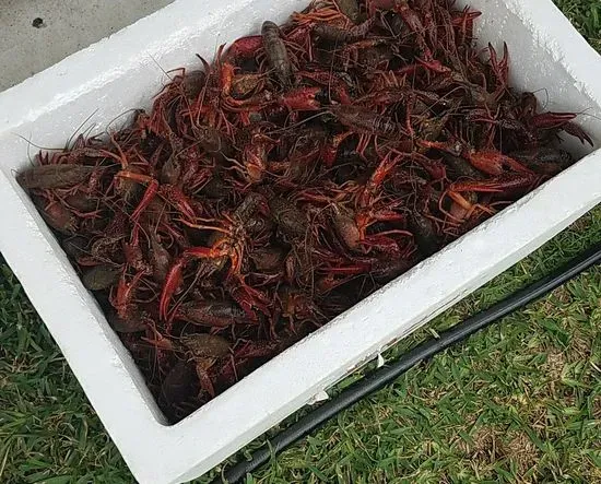 Atchafalaya Crawfish