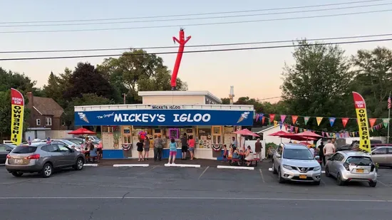 Mickey's Igloo