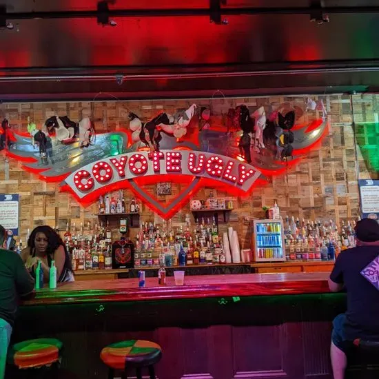 Coyote Ugly Saloon