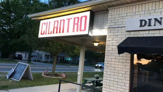 Cilantro