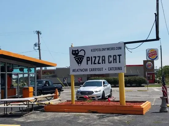 Pizza Cat