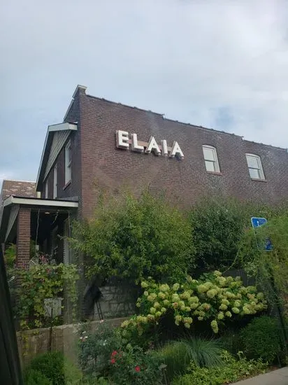 ELAIA