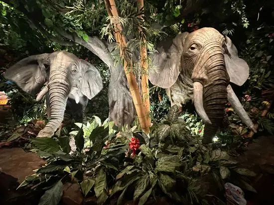 Rainforest Cafe