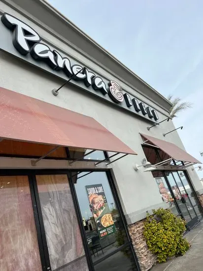 Panera Bread