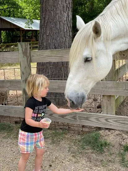 Gillis Hill Farm