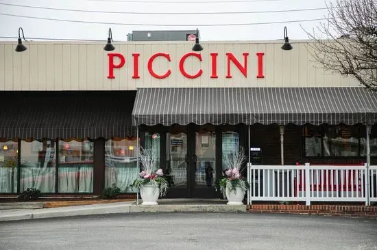 Piccini Wood Fired Brick Oven Pizza