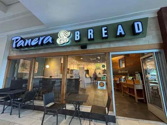 Panera Bread