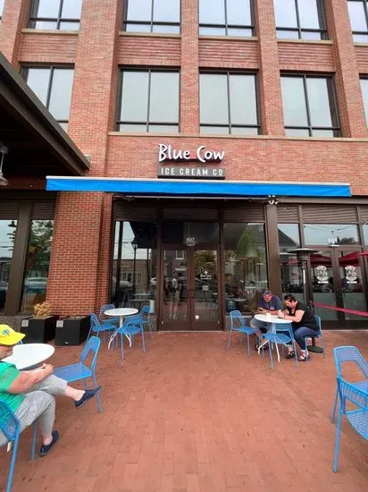 Blue Cow Ice Cream Co.