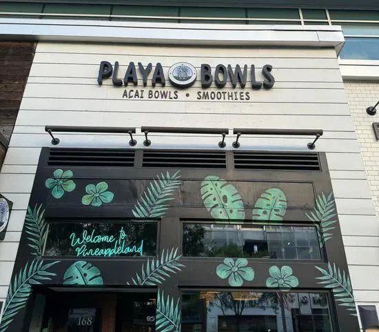 Playa Bowls