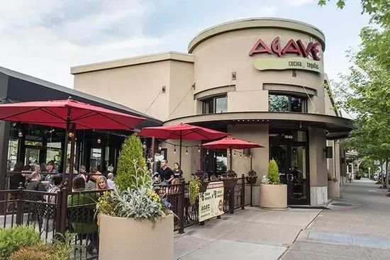 Agave Cocina & Tequila | Issaquah Highlands
