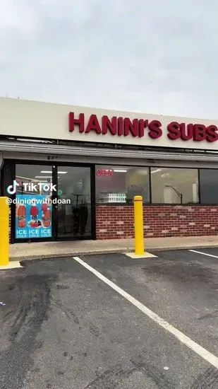 Hanini Subs