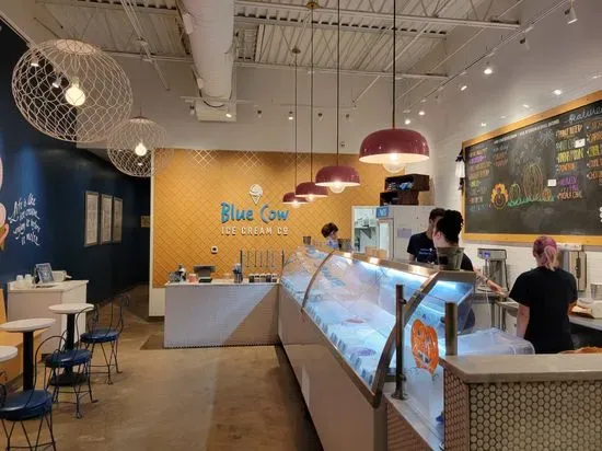 Blue Cow Ice Cream Co.