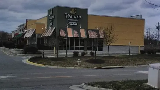 Panera Bread