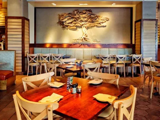 Tupelo Honey Southern Kitchen & Bar