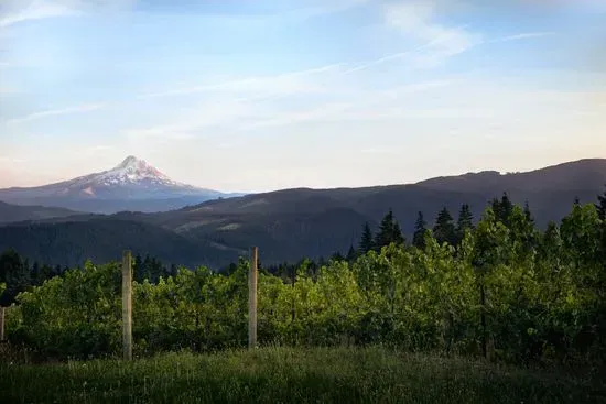 Cerulean Wine