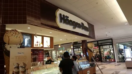 Haagen Dazs Oak Park Mall