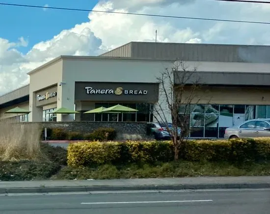 Panera Bread