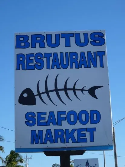 Brutus Land and Sea