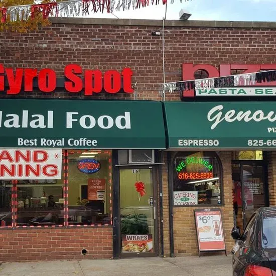 Gyro Spot