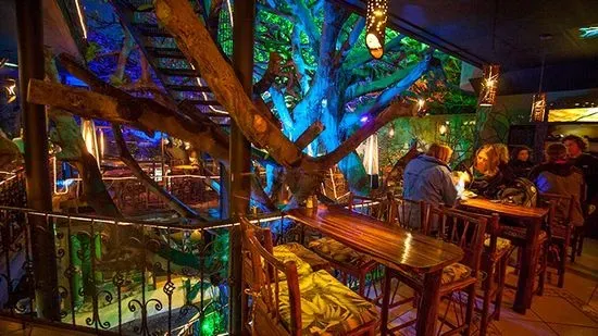 Tree House Restaurante