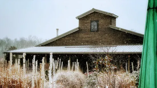 Black Shed