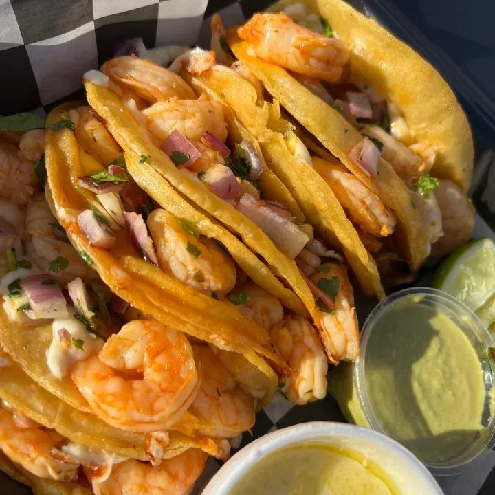 The Birria Queen (Food Truck) Houston, TX Checkle