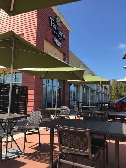 Panera Bread