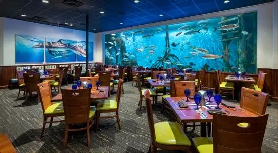 RumFish Grill