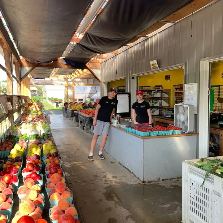 Randolph Peaches & Cream Randolph, NY Checkle