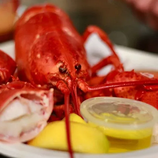 The Chowder House Restaurant Zephyrhills, FL Checkle