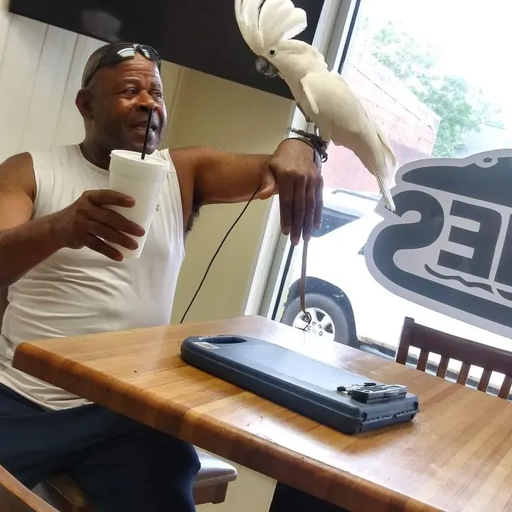 Subbies heath springs Heath Springs, SC Checkle