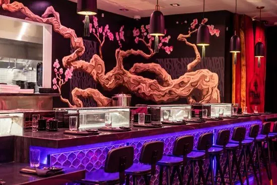 TEN Sushi + Cocktail Bar - Houston