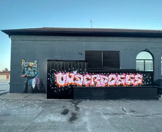 The Underdoggs