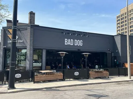 Bad Dog Sarnia